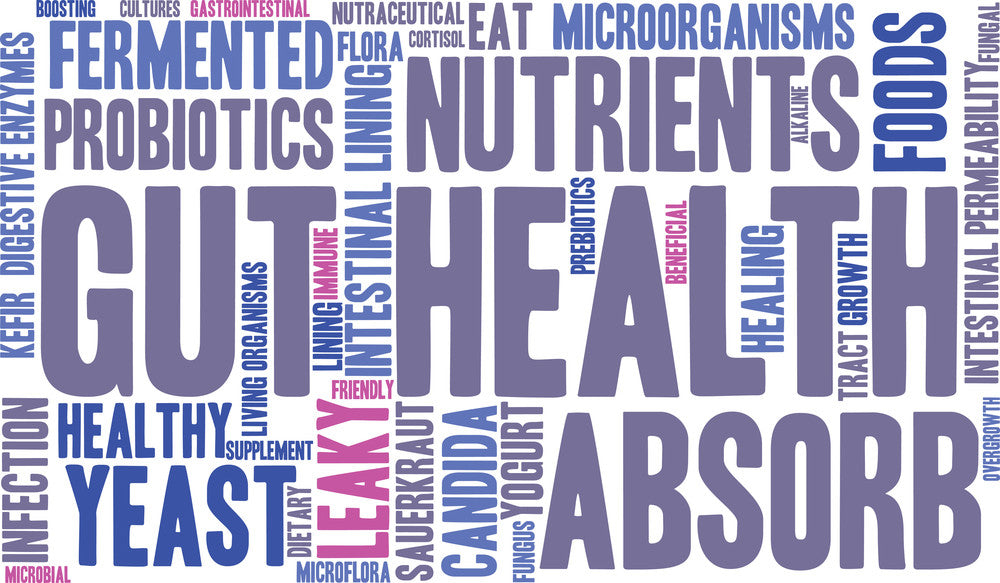 GUT HEALTH - THE SECRET SAUCE